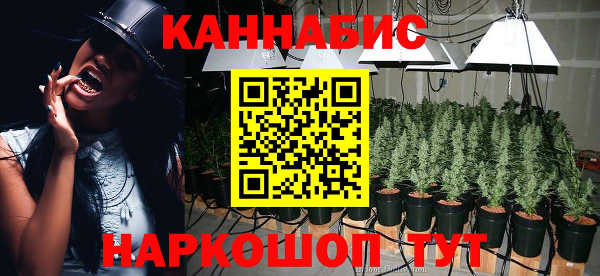 Канабис OG Kush  Каннабис SATIVA & INDICA  Великий Новгород  Вход с VPN  Каннабис план 